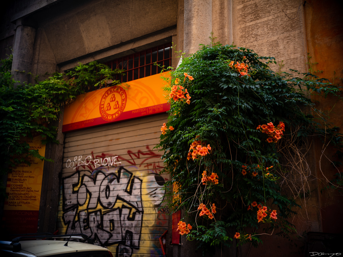 Photos from a trip through Italy in Summer of 2023. Locations include Rome, Florence, Tuscany, Castello di Bossi in Chianti, Siena, San Gimignano, Sirmione on Lake Garda, Bologna, Gudon, Italian Dolomites, Seceda, Cadini di Misurina, and Venice.